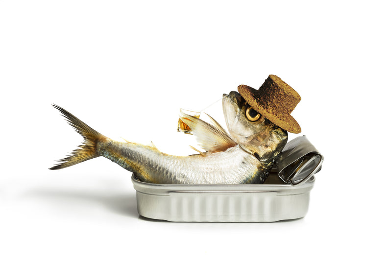 TINNED FISH