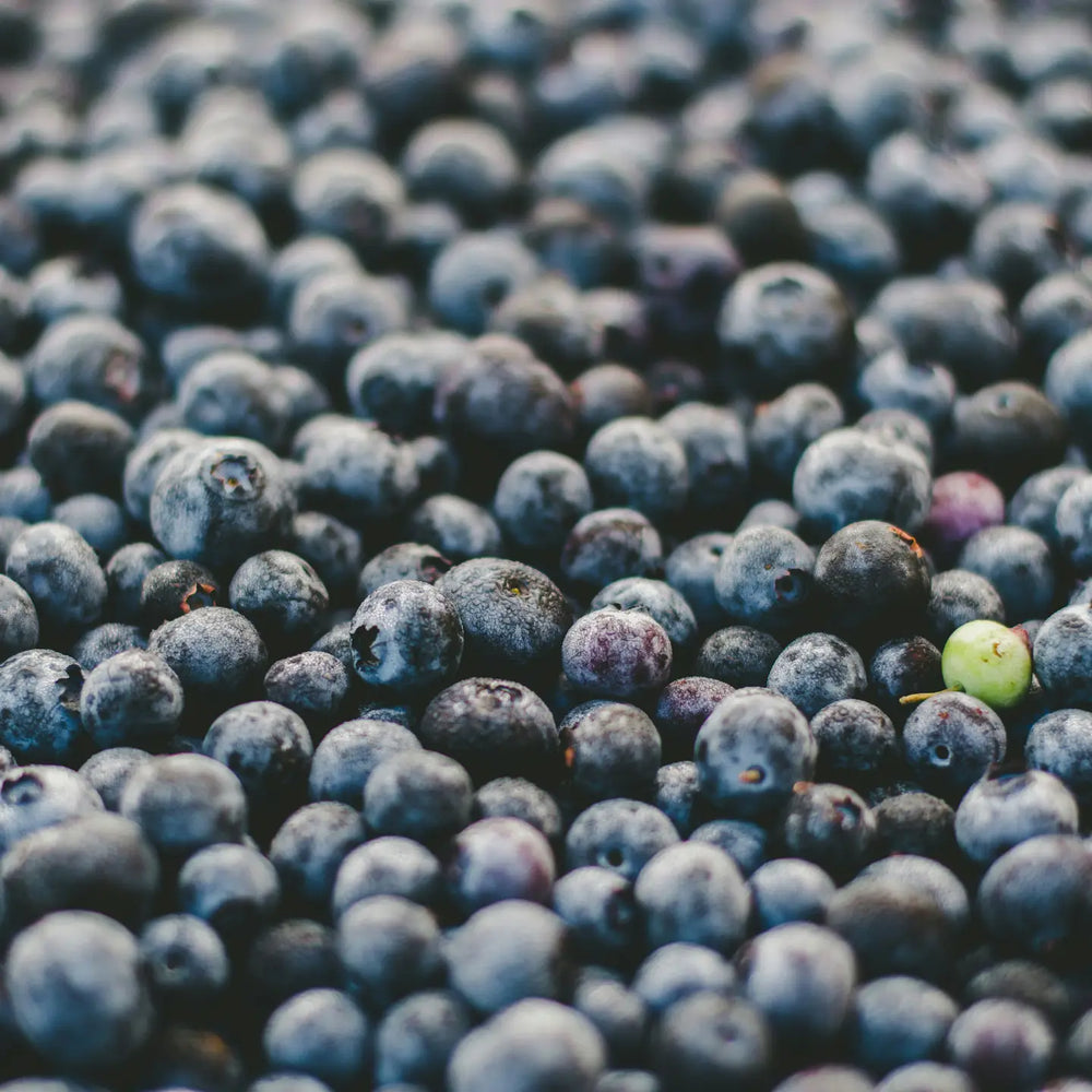 
                      
                        LESS IS MORE Artisanal Blueberry Jam 250g
                      
                    