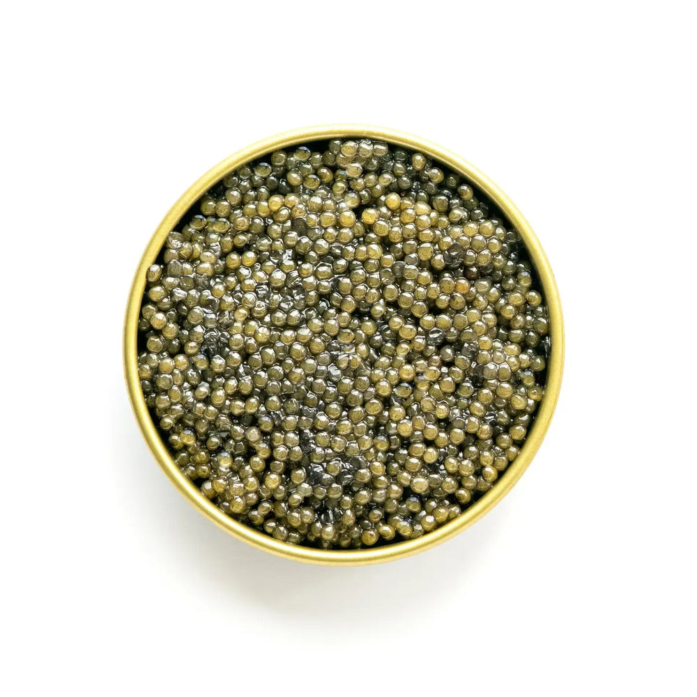 
                      
                        THE CAVIAR CO. Paddlefish Caviar Roe 1oz
                      
                    