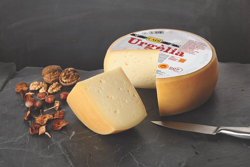 
                  
                    URGÈLIA Catalan DOP Cow’s Milk Semi-Soft Cheese MMO
                  
                