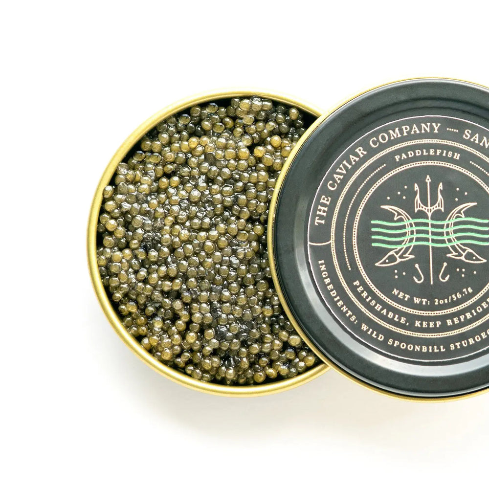 
                      
                        THE CAVIAR CO. Paddlefish Caviar Roe 1oz
                      
                    